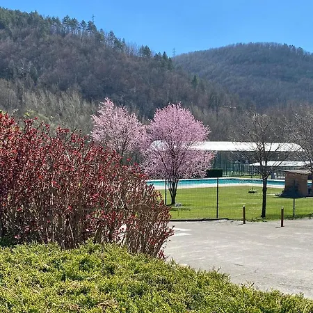 Solana Del Ter Ripoll